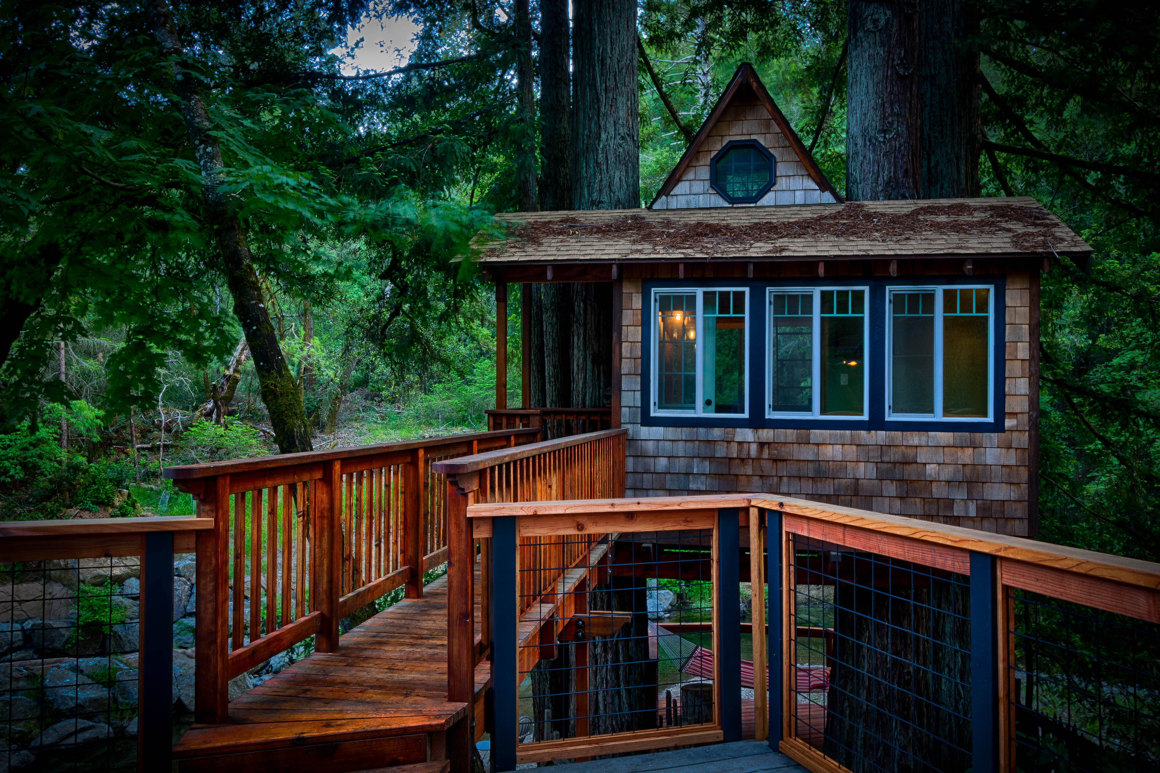 The shingled Bure guest space glowing among the redwoods at twilight